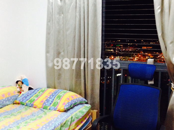 The Pinnacle@Duxton thumbnail photo